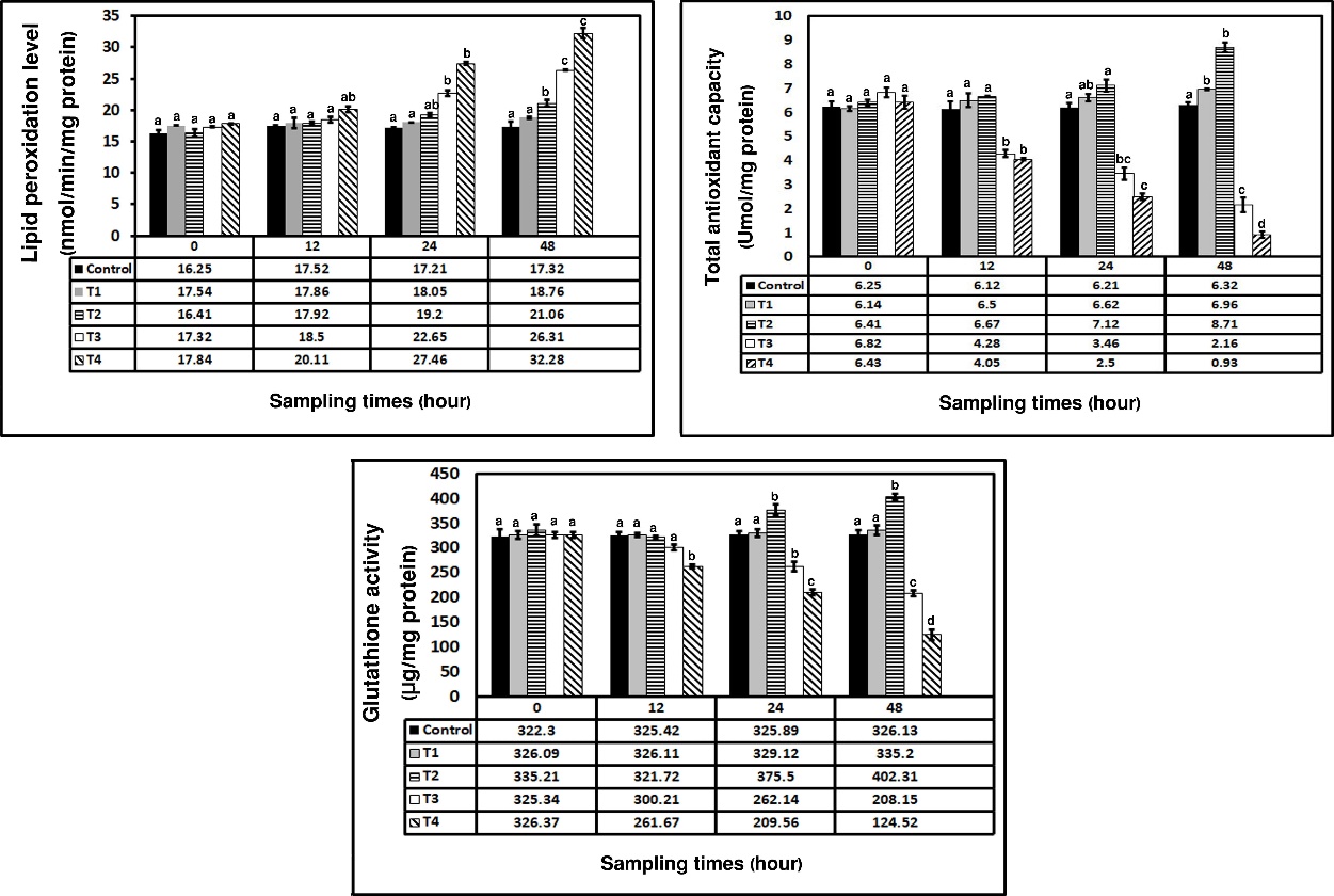 Figure 3. Amount of LPO, TAC, and glutathione activity in cultured liver cells of Acanthupagrus arabicus exposed to different concentrations of DEX during the experiment. Data are shown as mean±SE. Lowercase letters indicate significant differences between different groups (P<0.05). T1: cells treated with 3 μg/ml DEX; T2: cells treated with 3×10 μg/ml DEX; T3: cells treated with 3×102 μg/ml DEX; T4: cells treated with 3×103 μg/ml DEX.