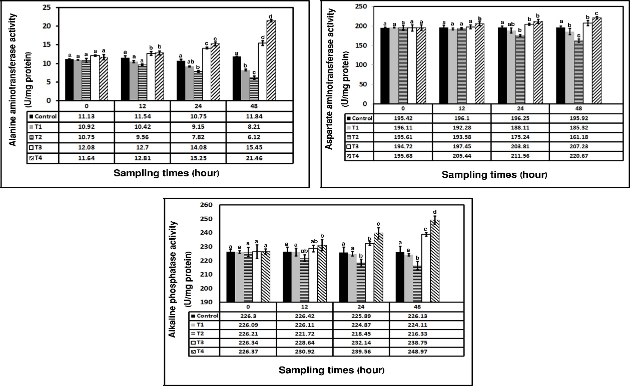 Figure 4. Amount of ALT, AST, and ALP in cultured liver cells of Acanthupagrus arabicus exposed to different concentrations of DEX during the experiment. Data are indicated as mean±SE. Lowercase letters indicate significant differences between different groups (P<0.05). T1: cells treated with 3 μg/ml DEX; T2: cells treated with 3×10 μg/ml DEX; T3: cells treated with 3×102 μg/ml DEX; T4: cells treated with 3×103 μg/ml DEX.