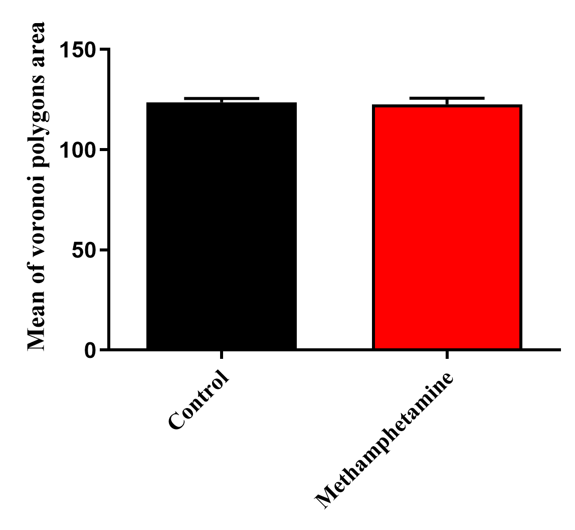 Figure 2. Mean Voronoi polygon areas in the control and methamphetamine groups