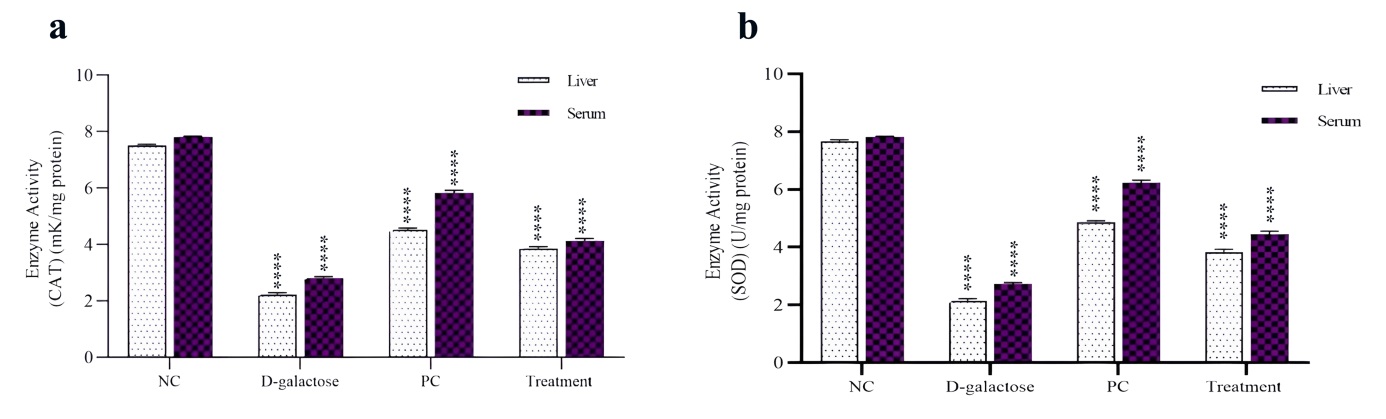 Figure 2. Effects of Shir‑Khesht manna extract on the viability of HT‑29 (colorectal cancer) and HEK‑293 (normal) cell lines at concentrations of 0, 25, 50, and 75 µg/mL. Symbols *** and **** represent statistically significant reductions in HT‑29 cell viability at 50 and 75 µg/mL, respectively, when compared with untreated control cells. The mark #### indicates a highly significant distinction (p<0.0001) between HT‑29 cells treated with 75 µg/mL and HEK‑293 cells exposed to the same concentration of the extract.